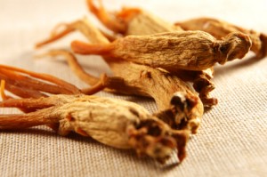 red ginseng